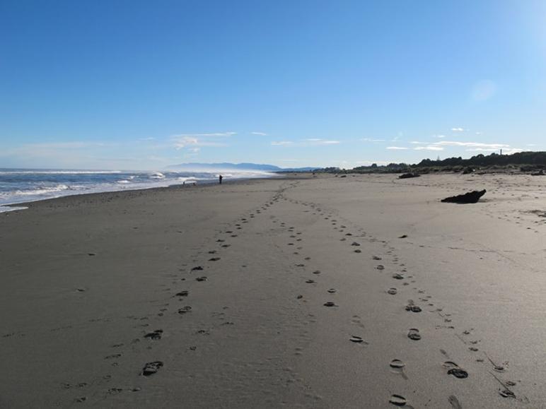 Shining Star Beachfront Accommodation Hokitika Exteriör bild